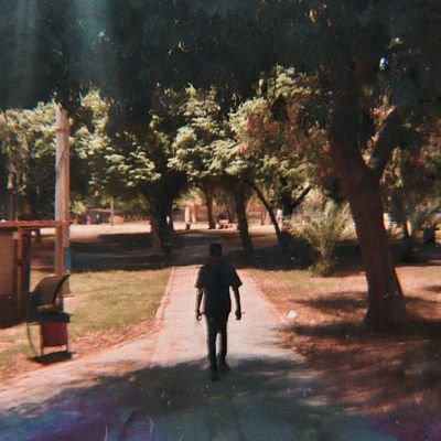 the__hssn's profile picture. the show must go on.