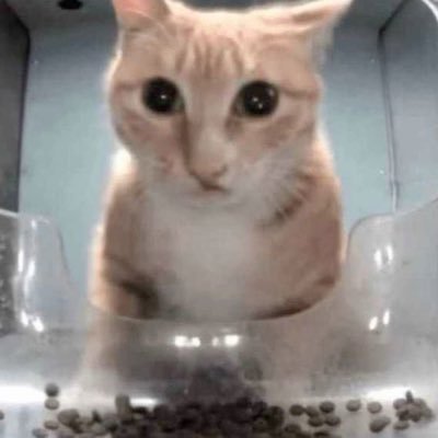 xenさんのプロフィール画像