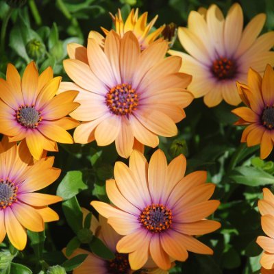 Bigsky17334's profile picture. 