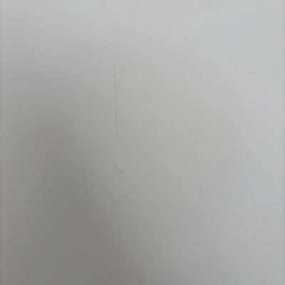 dafnedlad's profile picture. 