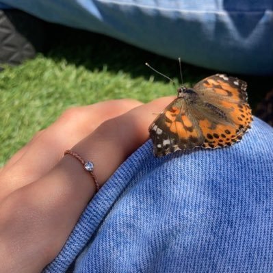 dshtna's profile picture. 🍌