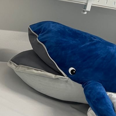 inddddzzz's profile picture. 학사 졸업 후 또 다시 학부 독일 유학생 🫥