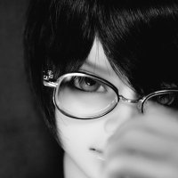 ひづる (@hohdo) 's Twitter Profile