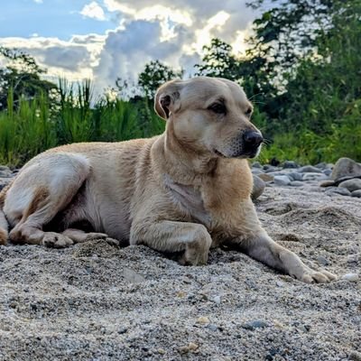 Lucke374 Profile Picture