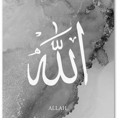 ZhyryMhmd48052's profile picture. 