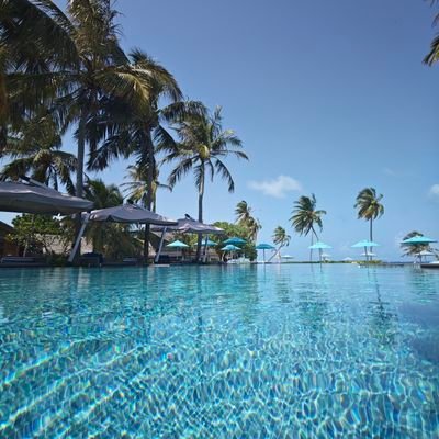 SLiangD's profile picture. Team Monthly, not Annual.
Sleep-Gym-Netflix-Books-Work
 (Yes, in that order)