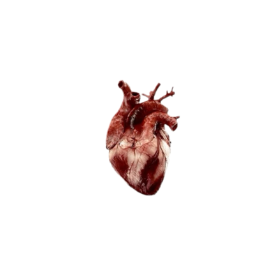 WEIRDADD1CTNS's profile picture. ⠀ ⠀⠀ ‘CAUSE THEY HATE ME —— 𝗦𝗢 𝗜’𝗠 𝗙𝗔𝗞𝗜𝗡𝗚 .