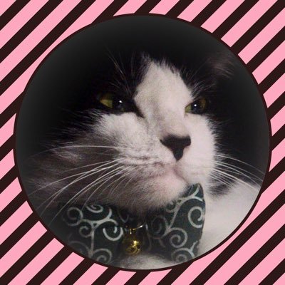 vip_amethyst's profile picture. follow at your own risk. I speak my mind and rt a lot. Anything that suits my taste. ⚠️ Middle finger to the hate and broken minds that can’t relate.