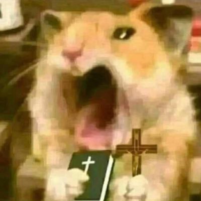 idrawthecircle's profile picture. i might be dumb but how dumb