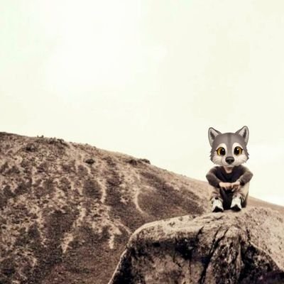 鬼滅の刃 ❤
WORLD P.T.A. 🌟
Entrepreneur 👨🏻‍💼
MWAM 🐺
                         現在,日本語を勉強しています 🧏🏻‍♂️