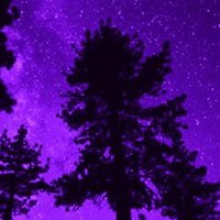 Nature Picks (@naturepicks) 's Twitter Profile