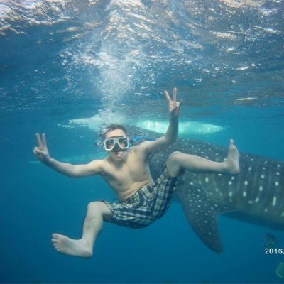 hataoka6505's profile picture. 気になったらすぐ調べるのが好き。Web系の仕事をしてます。F1好き🏎️ 。BTC少量と仮想通貨関連株保有。