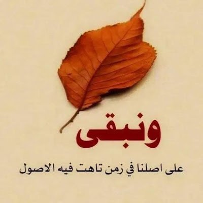 Rachid089284455's profile picture. 