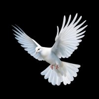 Just Me (@just_ms2025) 's Twitter Profile Photo Just Me (@just_ms2025) 's Twitter Profile Photo