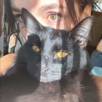 Ellien (@ellienseeu) 's Twitter Profile