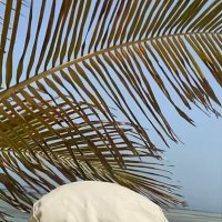 H (@aal_k4) Twitter profile photo