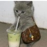 mamacrat's profile picture. I'm not mean; I'm spicy nice. Opinions are mine. I am also deeply uncomitted.