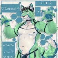 Leemo_The_FoxxoAD (@noah60493305) 's Twitter Profile Photo