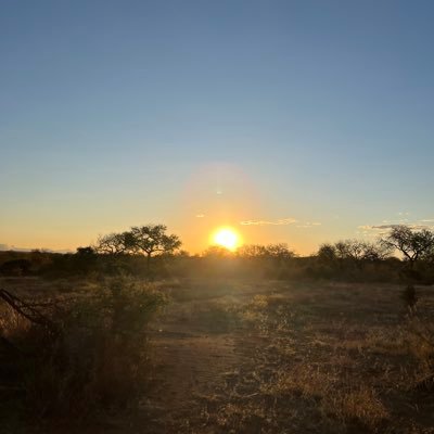 thevickygross's profile picture. You can do anything, but not everything.