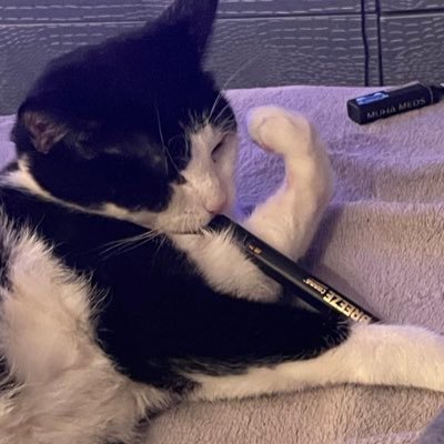 DankCartAbusers's profile picture. USMC Vet