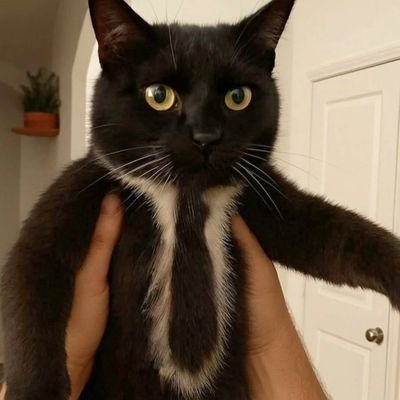 happy_mells's profile picture. me quiero matar 🎉