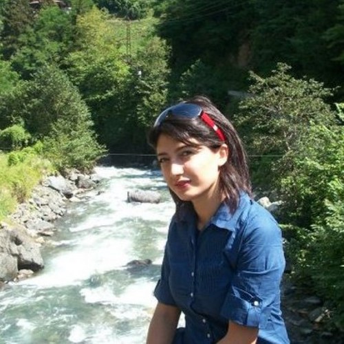 berivancalpan's profile picture. 