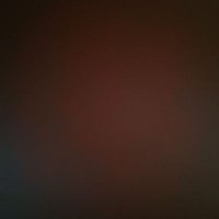 d4 (@d4bute) 's Twitter Profile