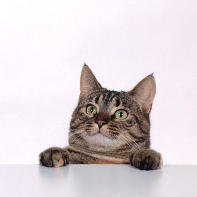 MDqhsZST0950735's profile picture. DFIRはいいぞ