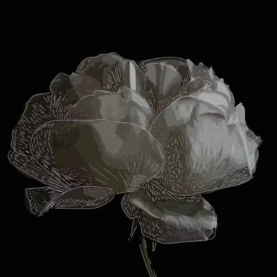 Crazy_Prince123's profile picture. La flemme d'écrire une bio