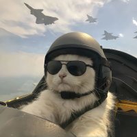 Ronin(互fo互赞) (@magpie0903) 's Twitter Profile