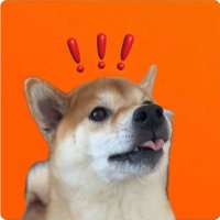 TONIC the Bonk Dog (@tonicinu) 's Twitter Profile