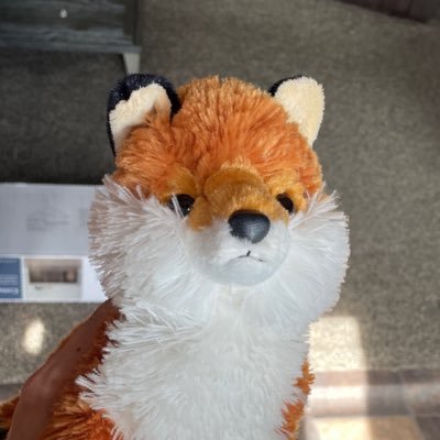 Spark_Live85's profile picture. im just trying to understand how or why it happens, and why it exists, not trying to ruin your life, im sorry~