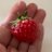 i7htCJLeHT16215