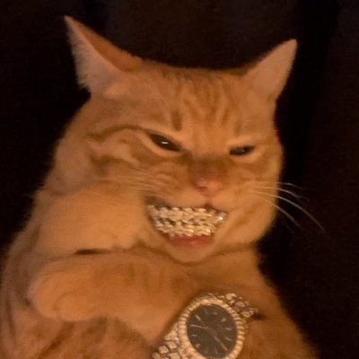 Shiibbbster Profile