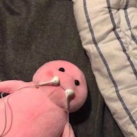 macroxx (@macroxxtt) 's Twitter Profile