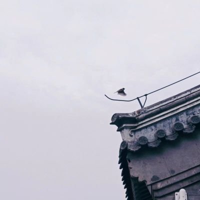 BystAnd3rs's profile picture. AI产品开发者