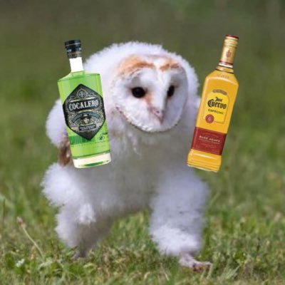 Siranai_mamade's profile picture. 双極Ⅱ型、不眠症、軽度摂食障害（過食嘔吐） 精神3級 基本壁打ち独り言多め 🚹さん無理です🙅🏻 無言フォロー、お別れはブロ解