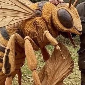 Akashsh00357393's profile picture. 