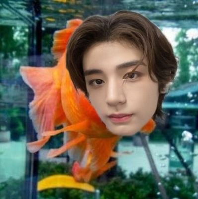 beernyanyih's profile picture. mulfand here! #Svt #Enha #Bnd #Nct #Riize 💗🫂