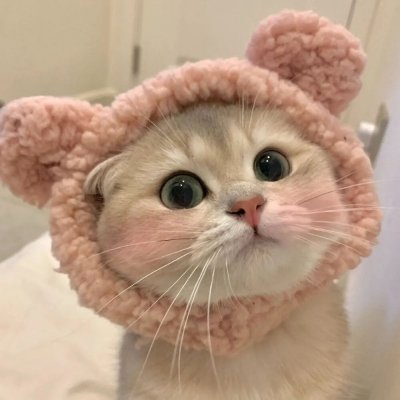 Guilher15422651's profile picture. Chasing sunsets, food & culture worldwide.