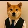 StevenJ35012759's profile picture. Follow me for Crypto gems.