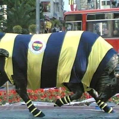 kadkybgsi's profile picture. 6s hesaplarının kocası