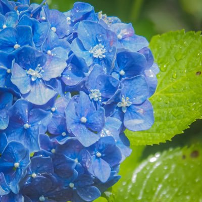 🐜🐜🐜さんのプロフィール画像
