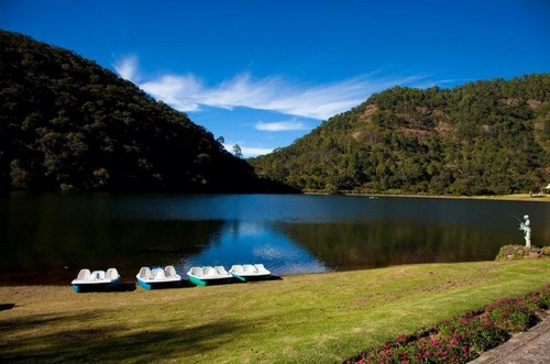 sierralagomasco's profile picture. 