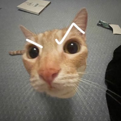 こてつさんのプロフィール画像