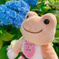 Io (@iothefrog) 's Twitter Profile