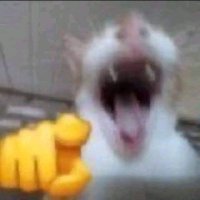 sunlike (@sunlikecat) 's Twitter Profile