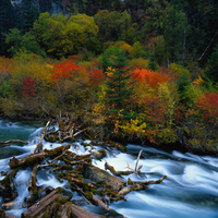 IUW1JrarLe36451's profile picture. 暗号資産取引所で働く、楽天的な人です。特に漫画収集、プログラミング、化粧品開発が好きで、日々充実した生活を送っています。