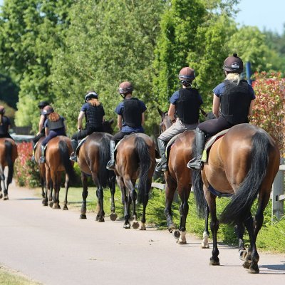 Offering World class apprenticeships & career pathways into the horseracing industry! Bursaries & financial support available.