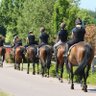 BRSNewmarket's profile picture. Offering World class apprenticeships & career pathways into the horseracing industry! Bursaries & financial support available.